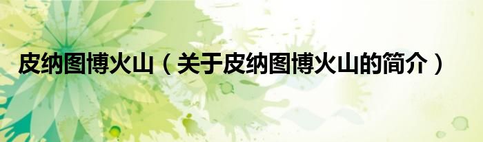 皮纳图博火山（关于皮纳图博火山的简介）