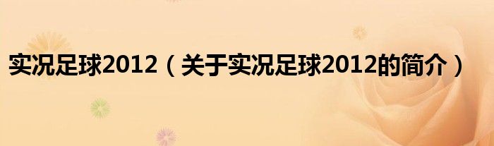 实况足球2012（关于实况足球2012的简介）