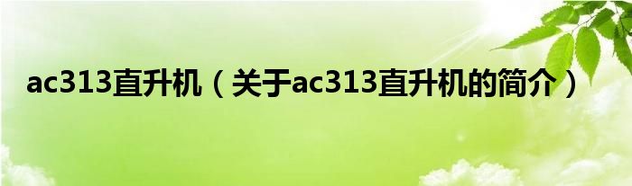 ac313直升机（关于ac313直升机的简介）