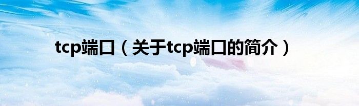 tcp端口（关于tcp端口的简介）