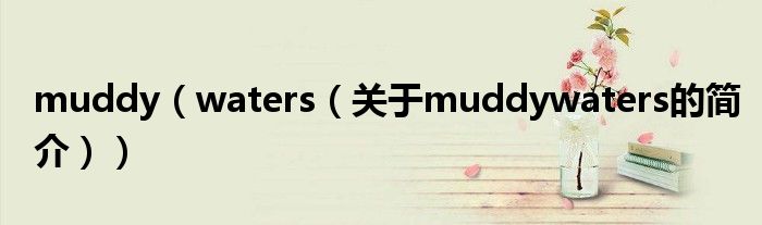 muddy（waters（关于muddywaters的简介））