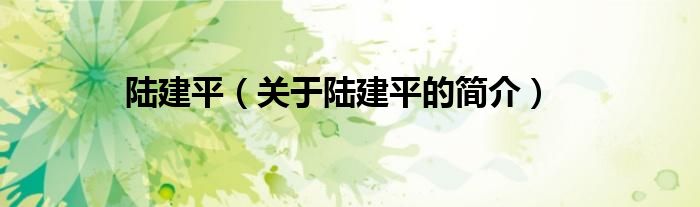 陆建平（关于陆建平的简介）