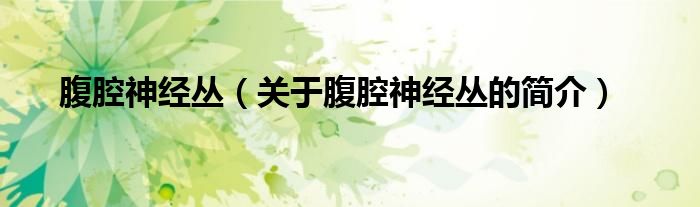腹腔神经丛（关于腹腔神经丛的简介）