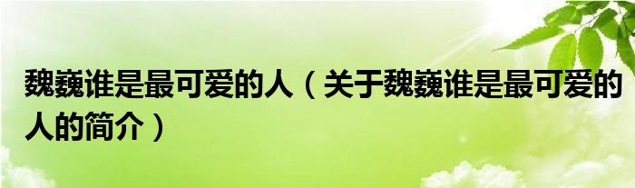 魏巍谁是最可爱的人（关于魏巍谁是最可爱的人的简介）