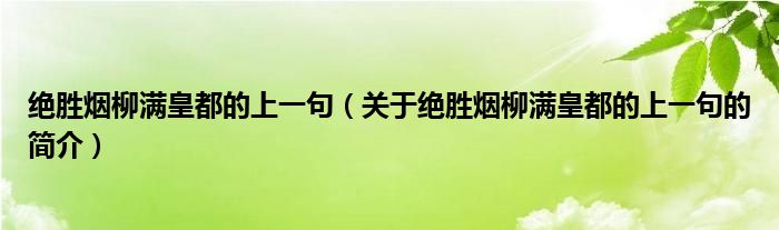 绝胜烟柳满皇都的上一句（关于绝胜烟柳满皇都的上一句的简介）