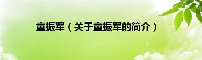 童振军（关于童振军的简介）