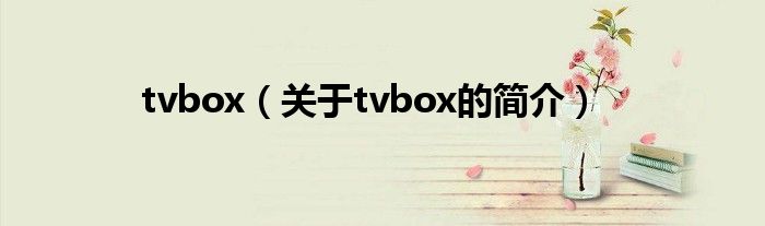 tvbox（关于tvbox的简介）