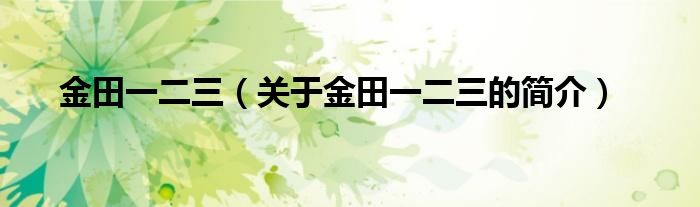 金田一二三（关于金田一二三的简介）