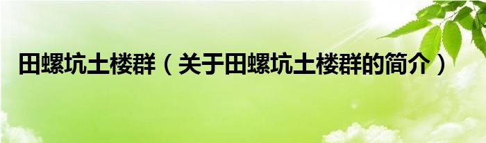 田螺坑土楼群（关于田螺坑土楼群的简介）