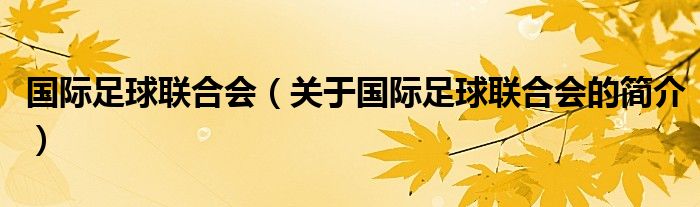 国际足球联合会（关于国际足球联合会的简介）