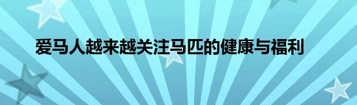 爱马人越来越关注马匹的健康与福利