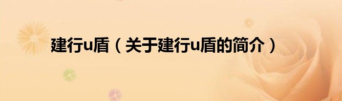 建行u盾（关于建行u盾的简介）