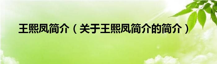 王熙凤简介（关于王熙凤简介的简介）