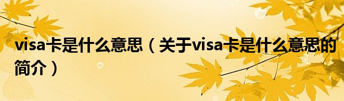 visa卡是什么意思（关于visa卡是什么意思的简介）