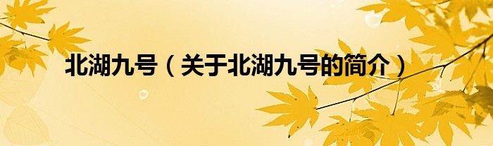 北湖九号（关于北湖九号的简介）