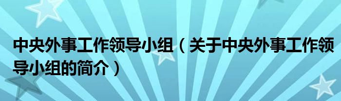 中央外事工作领导小组（关于中央外事工作领导小组的简介）