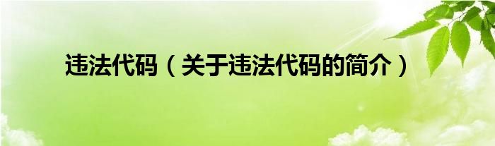 违法代码（关于违法代码的简介）