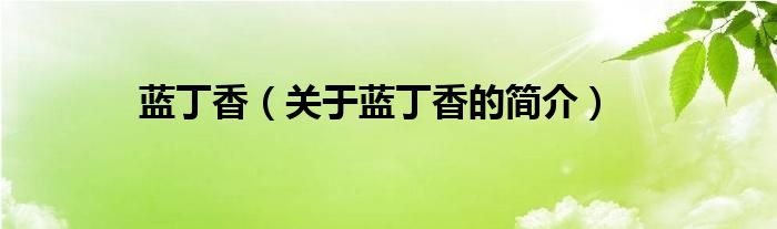 蓝丁香（关于蓝丁香的简介）