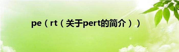 pe（rt（关于pert的简介））