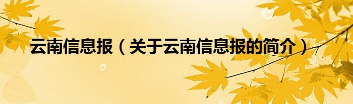 云南信息报（关于云南信息报的简介）