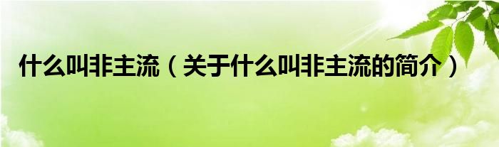 什么叫非主流（关于什么叫非主流的简介）