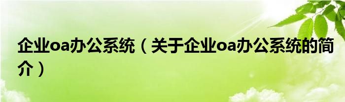 企业oa办公系统（关于企业oa办公系统的简介）