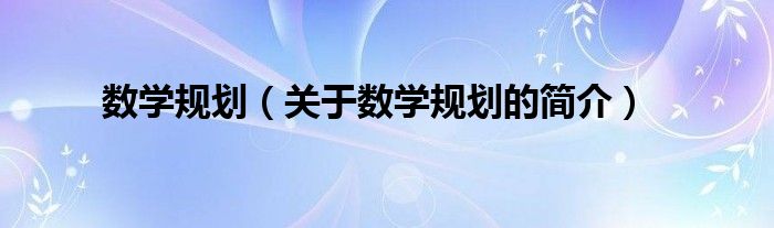 数学规划（关于数学规划的简介）