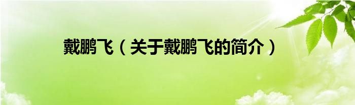 戴鹏飞（关于戴鹏飞的简介）