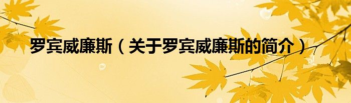 罗宾威廉斯（关于罗宾威廉斯的简介）