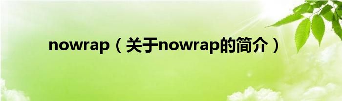 nowrap（关于nowrap的简介）