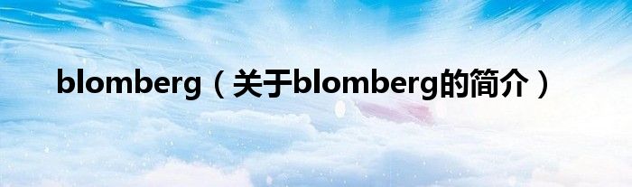 blomberg（关于blomberg的简介）