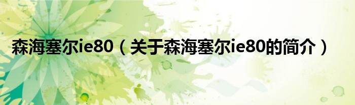 森海塞尔ie80（关于森海塞尔ie80的简介）