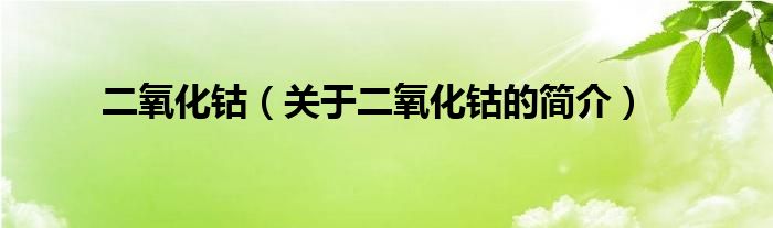 二氧化钴（关于二氧化钴的简介）