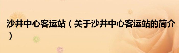 沙井中心客运站（关于沙井中心客运站的简介）