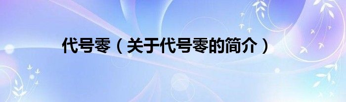 代号零（关于代号零的简介）