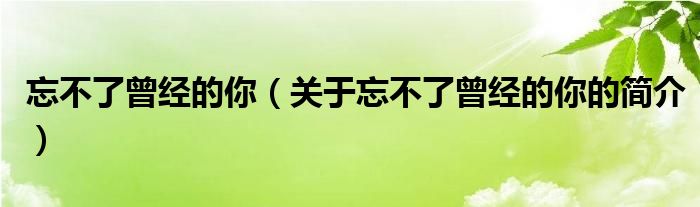 忘不了曾经的你（关于忘不了曾经的你的简介）