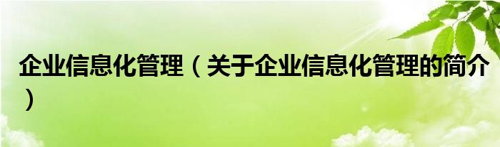 企业信息化管理（关于企业信息化管理的简介）