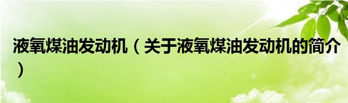 液氧煤油发动机（关于液氧煤油发动机的简介）