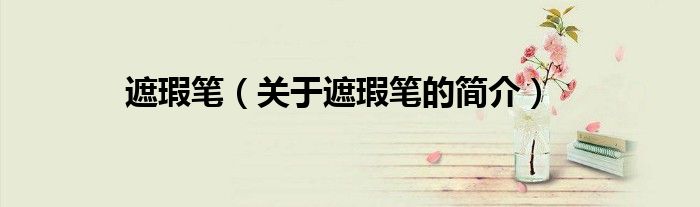 遮瑕笔（关于遮瑕笔的简介）