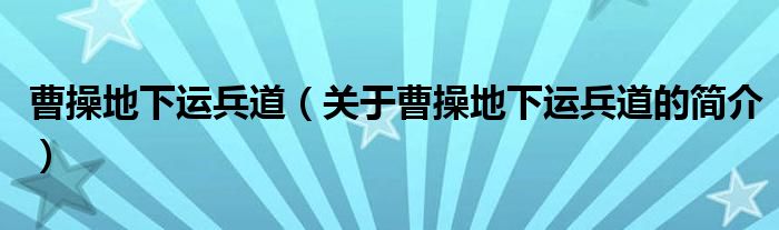 曹操地下运兵道（关于曹操地下运兵道的简介）