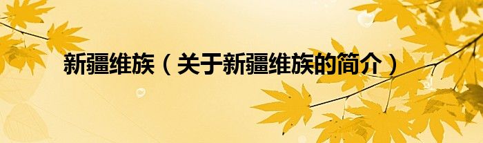 新疆维族（关于新疆维族的简介）