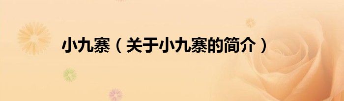 小九寨（关于小九寨的简介）