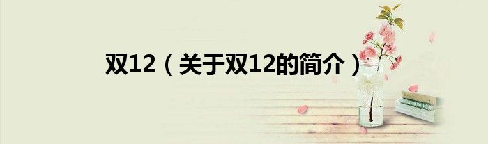 双12（关于双12的简介）