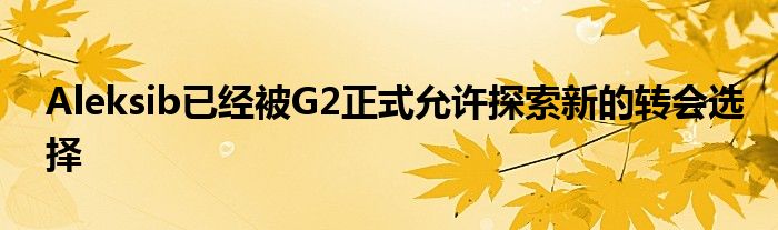 Aleksib已经被G2正式允许探索新的转会选择