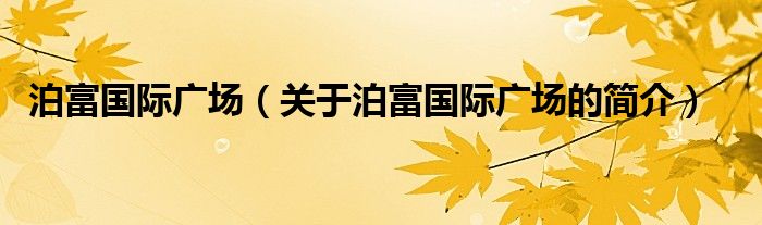 泊富国际广场（关于泊富国际广场的简介）