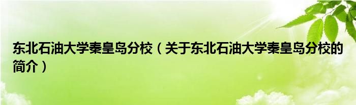 东北石油大学秦皇岛分校（关于东北石油大学秦皇岛分校的简介）