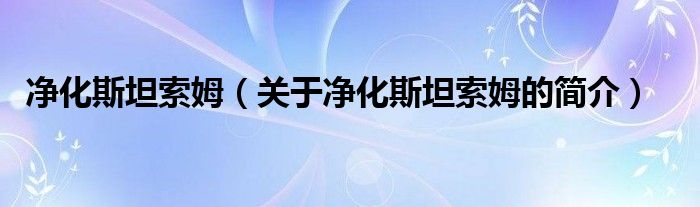 净化斯坦索姆（关于净化斯坦索姆的简介）