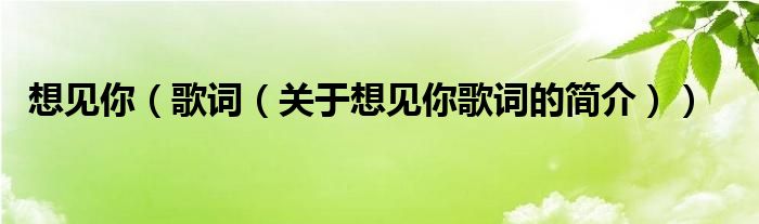 想见你（歌词（关于想见你歌词的简介））