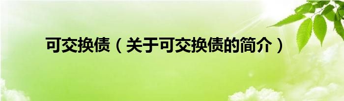 可交换债（关于可交换债的简介）