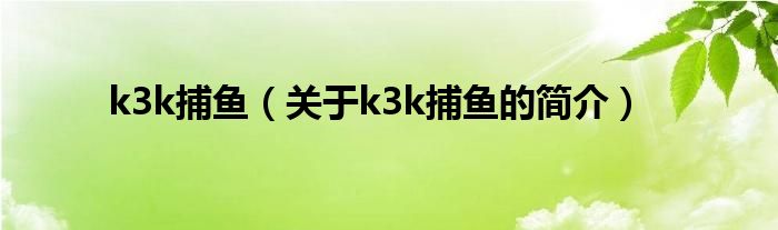 k3k捕鱼（关于k3k捕鱼的简介）